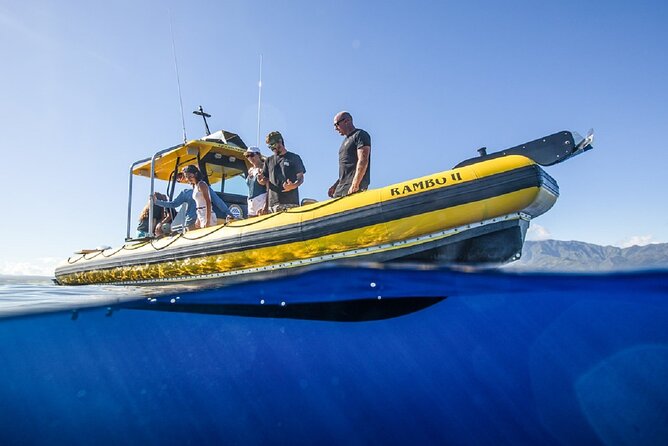 Shark-Dive Tour on Oahu's North Shore - The Booking Reality: When Things Change