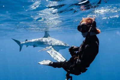 Shark Diving and Snorkeling in Oahu Hawaii - Small-group setup: why a max of six matters