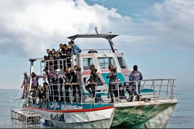 Shark Diving Full Day Guided Return Transfer to Gansbaai from Cape Town - Boarding day: safety briefing, equipment, and wet-suit comfort