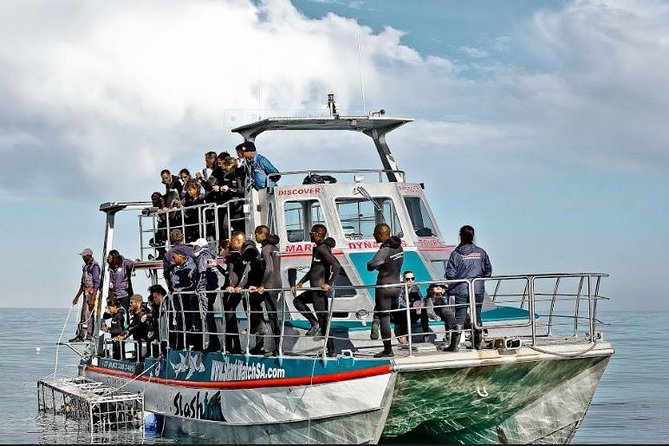 Shark Diving Full Day Guided Return Transfer to Gansbaai from Cape Town - Boarding day: safety briefing, equipment, and wet-suit comfort