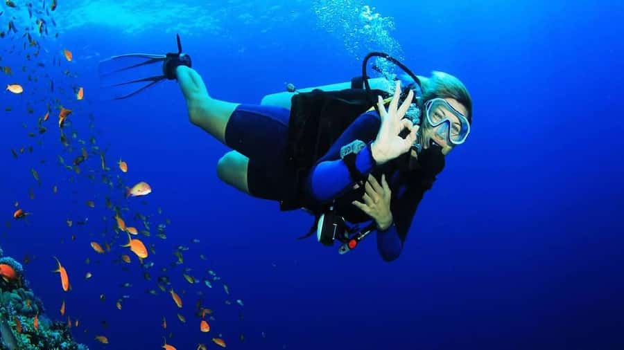 Sharm El-Sheikh: Guided Shore Scuba Diving at 2 Dives - Safety and comfort: the guide’s real job