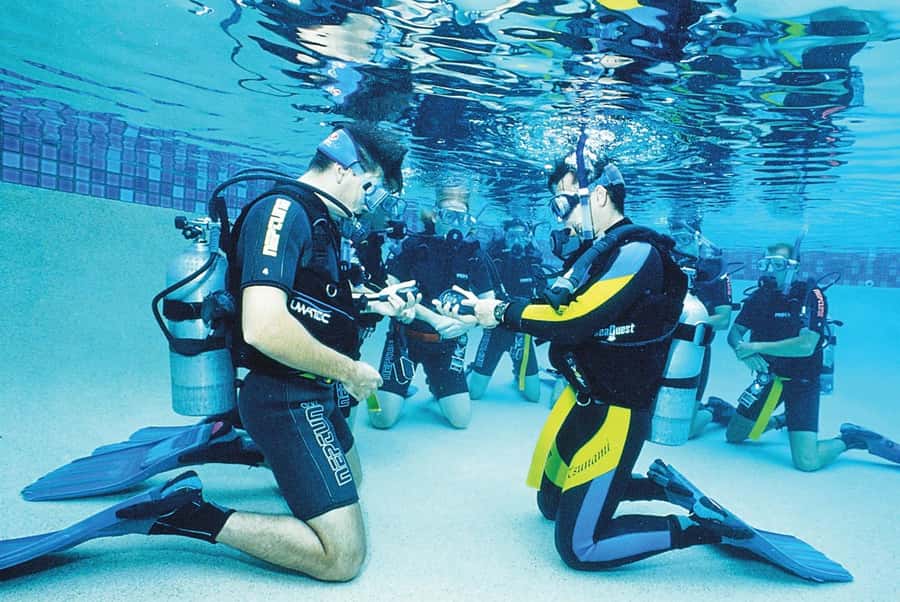 Sharm el Sheikh: PADI Diving Courses Package - Pool training on the 3-day option: why it reduces fear