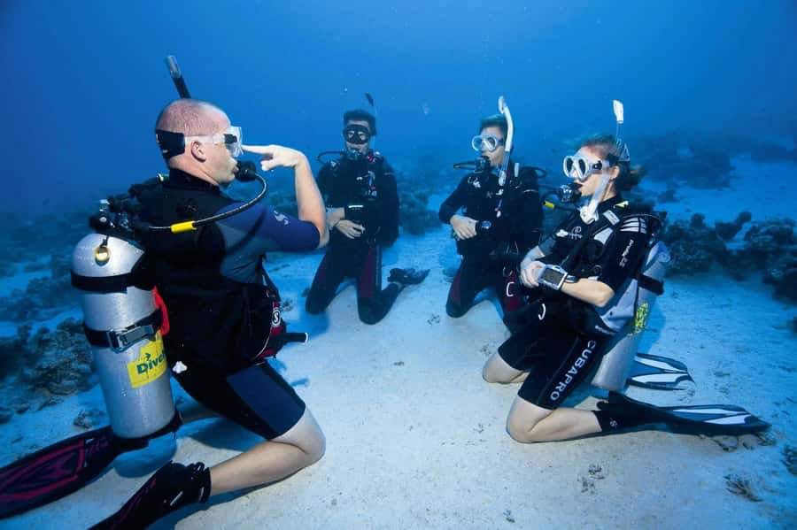 Sharm el Sheikh: PADI Diving Courses Package - Your course choices: trial intro vs 2-day or 3-day Open Water Diver