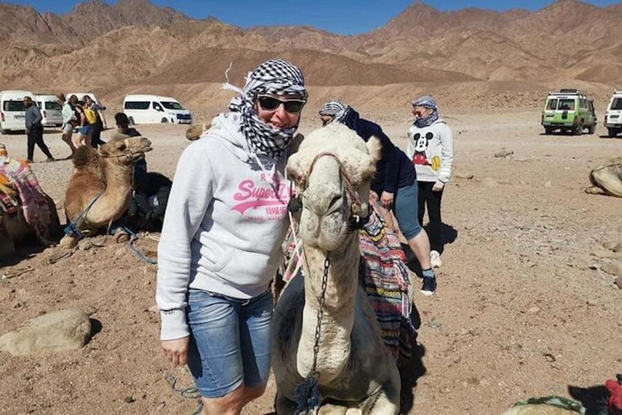 Sharm El-Sheikh: Parasailing, Camel Ride, Dive & Quad Bike - The value equation: why $41 can work for this kind of day