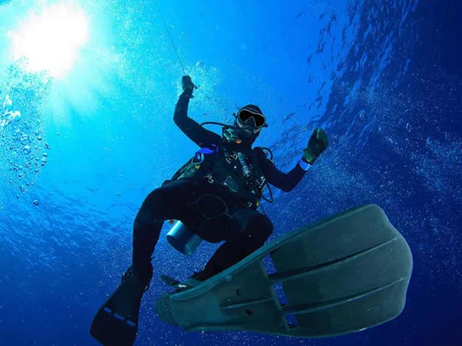 Sharm El Sheikh: Ras Mohamed & White Island Dive & Snorkel - FAQ