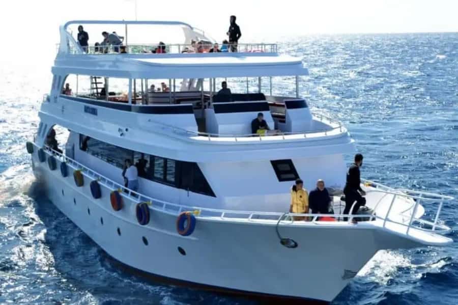 Sharm El Sheikh: Ras Mohamed & White Island Dive & Snorkel - White Island: walking the sandbank and swimming in clear water