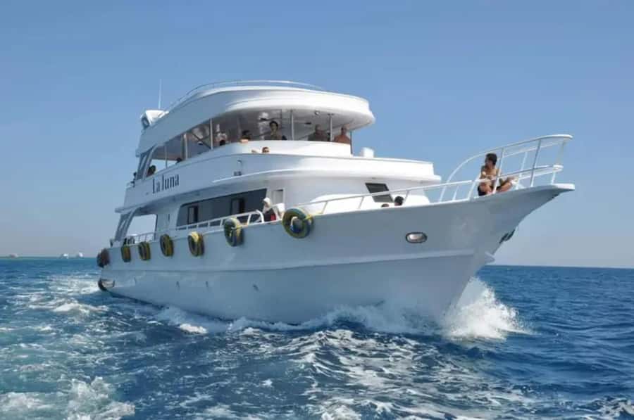 Sharm El Sheikh: Ras Mohamed & White Island Dive & Snorkel - Ras Mohamed National Park: two guided snorkeling stops with real reef life