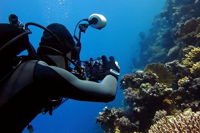 Sharm El Sheikh: Ras Mohamed, White Island, Snorkel and Diving - Ras Mohamed National Park: Coral Reefs and Scuba or Snorkel Options