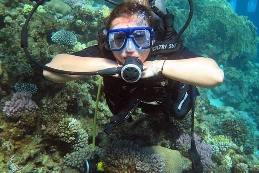 Sharm El Sheikh: Ras Mohamed & White Island Snorkel or Dive - Quick hits before you go