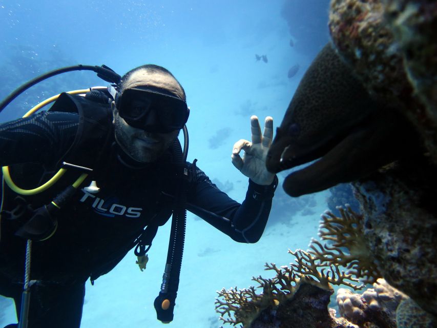 Sharm El Sheikh: Ras Mohamed & White Island Snorkel or Dive - White Island: the extra stop that turns a good trip into a memorable one