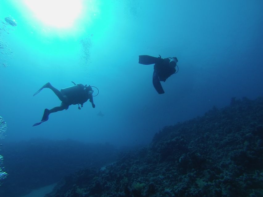 Sharm El Sheikh: Ras Mohamed & White Island Snorkel or Dive - Safety and coaching: how this crew helps you stay in control
