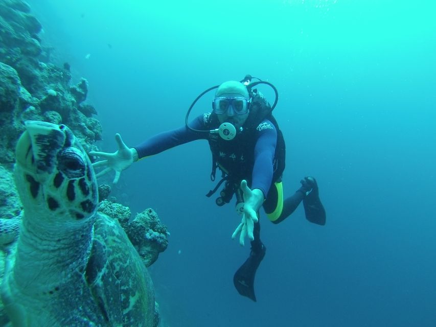 Sharm El Sheikh: Ras Mohamed & White Island Snorkel or Dive - Meeting up: pickup, boat setup, and what to bring