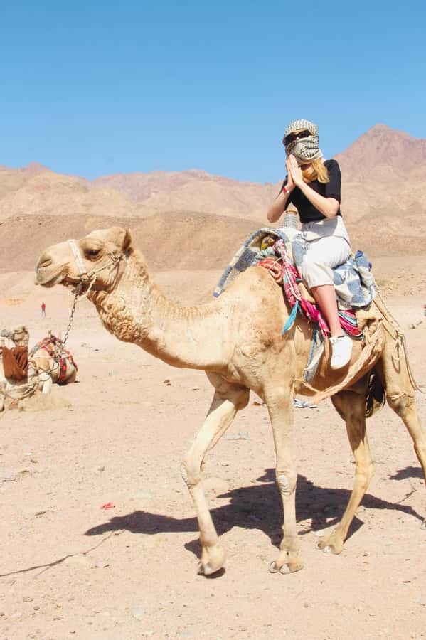 Sharm El Sheikh: Red Sea Scuba Diving Experience - Equipment, Passport, and the Small Stuff That Saves Time
