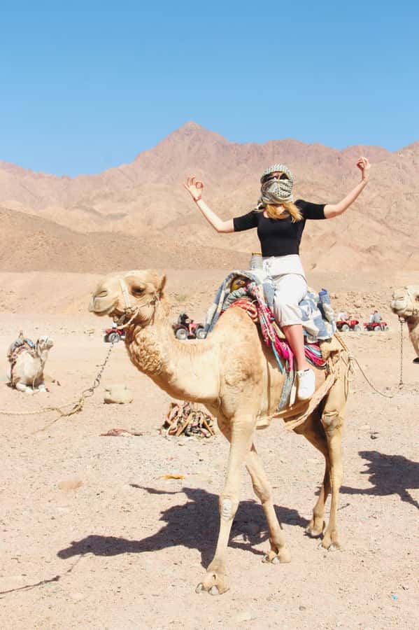 Sharm El Sheikh: Red Sea Scuba Diving Experience - Boat Option: When Food and the National Park Ticket Matter