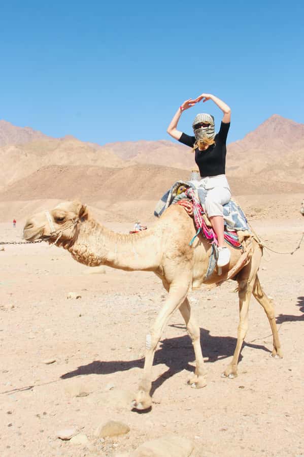 Sharm El Sheikh: Red Sea Scuba Diving Experience - Price and Value: Is $45 Really Good Here?
