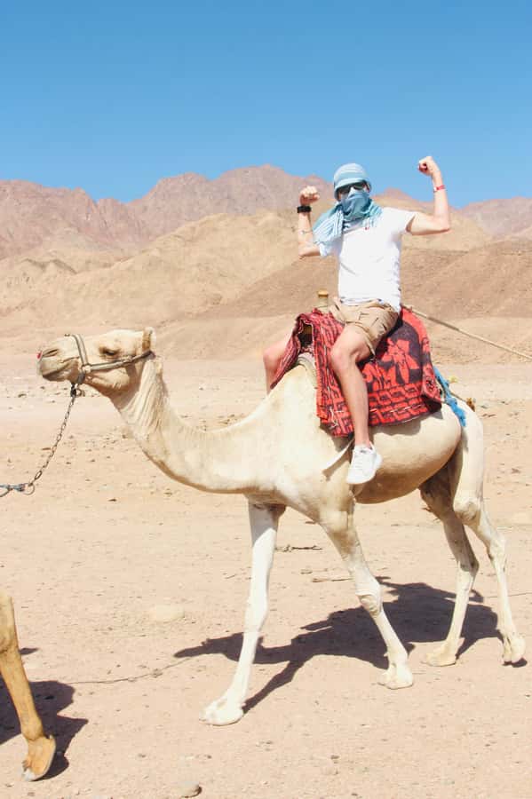 Sharm El Sheikh: Red Sea Scuba Diving Experience - Who This Experience Suits Best