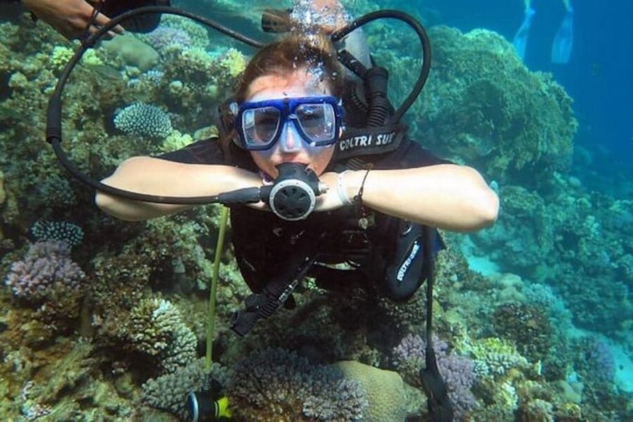 Sharm: Introductory Dive from the Shore & PADI Courses - Key Highlights Worth Planning For
