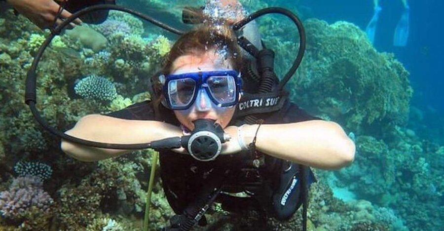 Sharm: Introductory Dive from the Shore & PADI Courses - Sharm Shore-Start Scuba Session: What You’re Really Buying