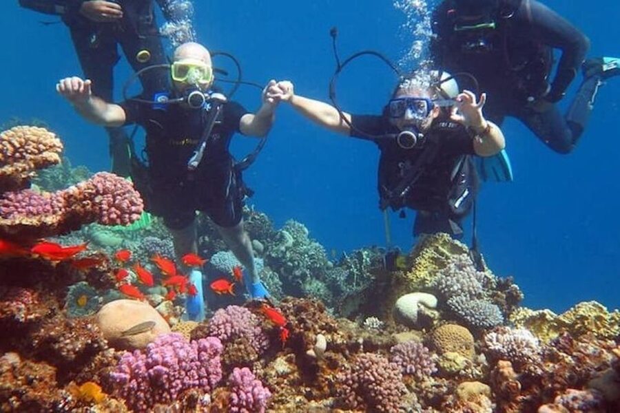 Sharm: Introductory Dive from the Shore & PADI Courses - Optional PADI Open Water Course: The 2–3 Day Path to Certification