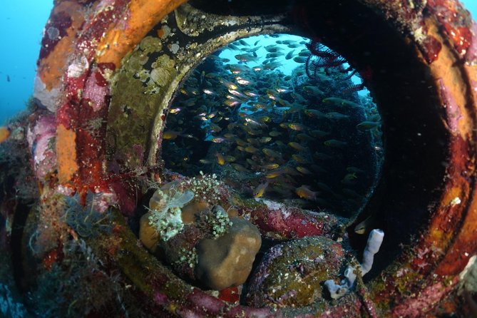 Shipwreck Diving in Tulamben - USAT Liberty in Tulamben: the shipwreck reason to book