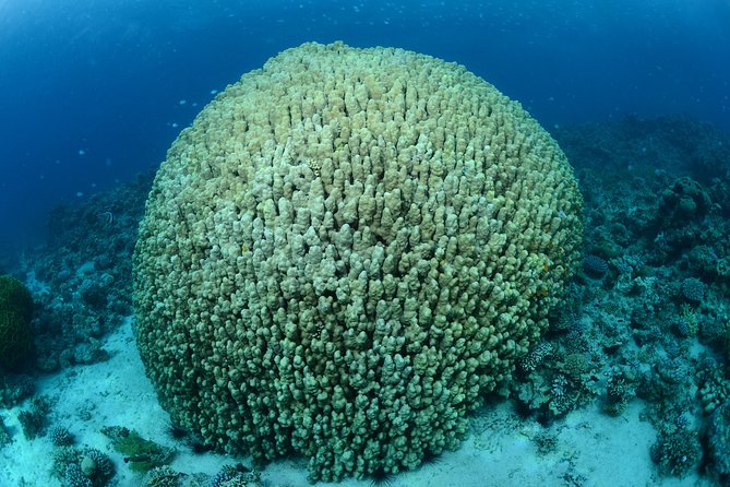 Shore Certified Diving - Two Dives - Equipment and comfort: what’s included and why it saves you money