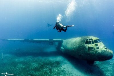 Shore Certified Diving - Two Dives - The heart of the day: two guided underwater sessions at two sites