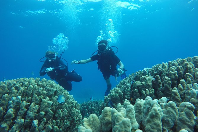 Shore Discover SCUBA Diving/Introductory Diving - One Dive - South Beach logistics: a short outing with clear flow