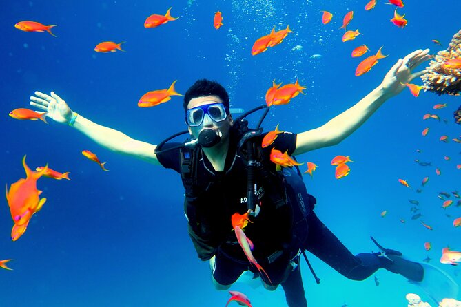 Shore Dives in Sharm El Sheikh Red Sea - From Your Hotel to El-Salam: The Practical Part
