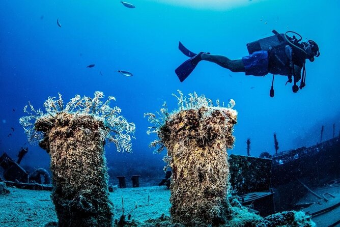 Side /Manavgat : Underwater Museum Scuba Diving w/ Lunch Transfer - Two underwater sessions in the Side region: what you’re likely to see