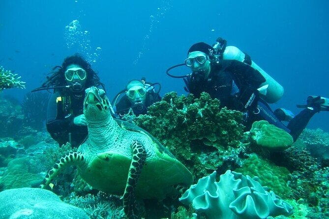 Side /Manavgat : Underwater Museum Scuba Diving w/ Lunch Transfer - Underwater Museum option vs the regular route