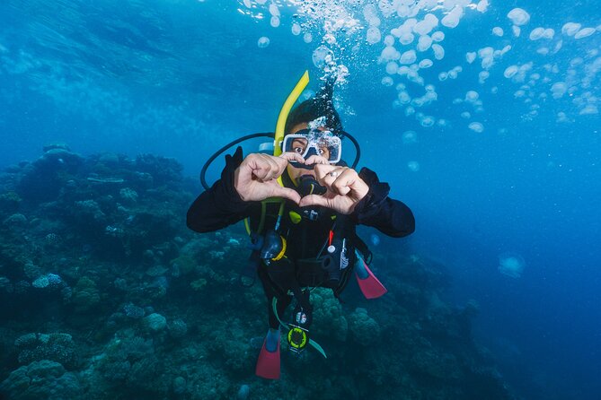 Side Scuba Diving for Beginners with Lunch and Transfers - Key Highlights to Know Before You Go