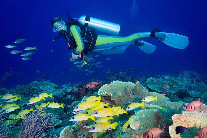 Side Scuba Diving for Beginners with Lunch and Transfers - From Hotel Pickup to a 10:00 Boat Departure in Side