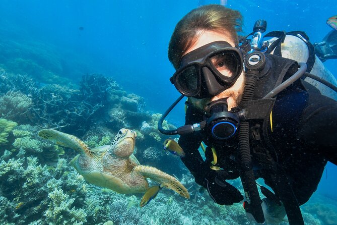 Side Scuba Diving for Beginners with Lunch and Transfers - What the 5–12 Meter Plan Means for First-Timers
