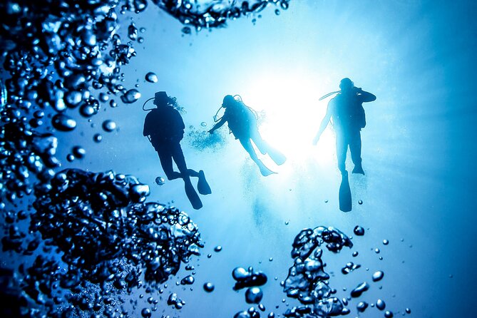 Side Scuba Diving for Beginners with Lunch and Transfers - Lunch on the Boat: Snitzel & Pasta Plus Real Downtime