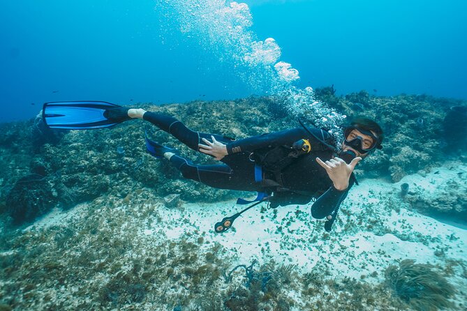 Side Scuba Diving for Beginners with Lunch and Transfers - Included vs Optional Costs: What You Pay and What You Can Add