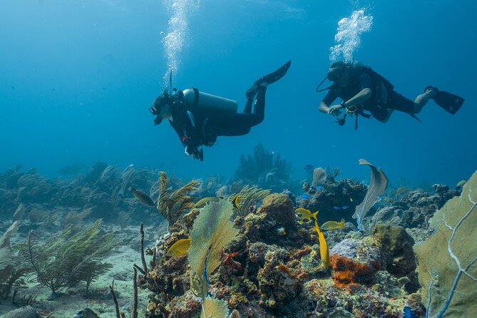Side Scuba Diving for Beginners with Lunch and Transfers - Transfers, Small Groups, and How the Day Feels on the Water