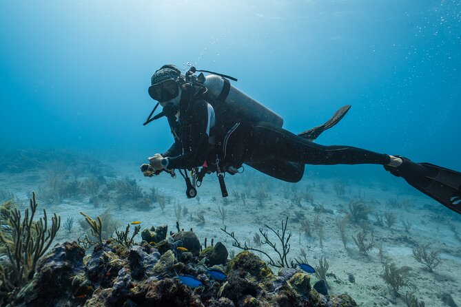 Side Scuba Diving for Beginners with Lunch and Transfers - Value Check: Why $49.21 Can Make Sense in Side