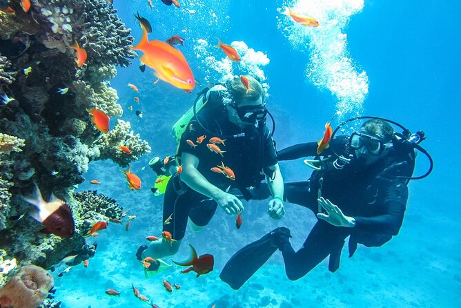 "Side: Scuba Diving in the Fascinating Underwater Museum" - The main drawback: weather can change everything