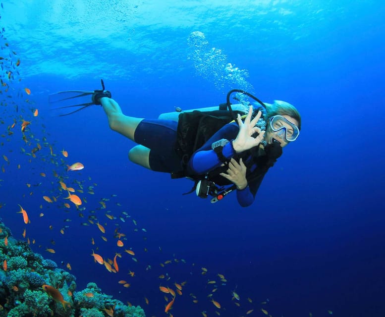 Side: Scuba Diving Tour Journey To The Depths Of The Blue - Equipment and comfort: bring the basics so you don’t lose time