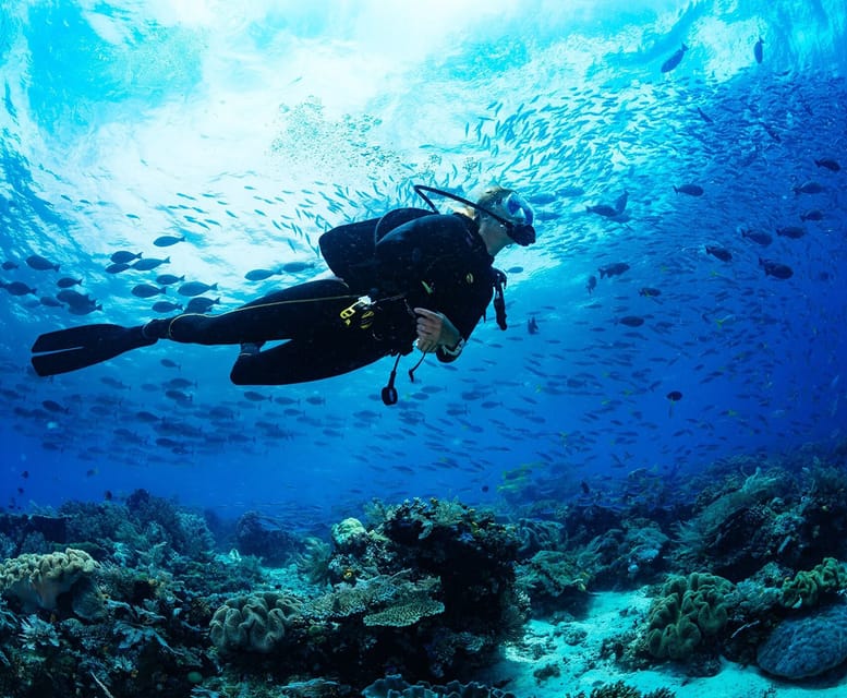 Side: Scuba Diving Tour Journey To The Depths Of The Blue - Age rules: where the fine print matters