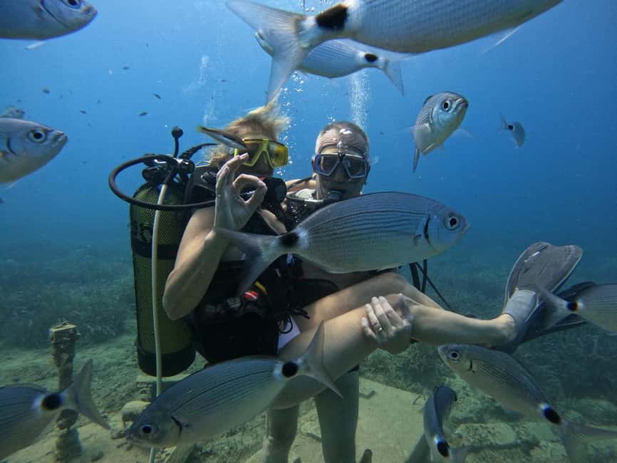 Side: Scuba Diving & Under Water Museum with Hotel Transfer - Should You Book This Side Tour or Look Elsewhere?