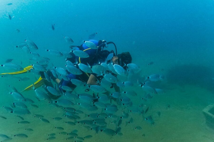 Side: Scuba Diving, Underwater Museum, 2 Dives incl. Lunch - Snorkeling If You Don’t Want the Underwater Sessions