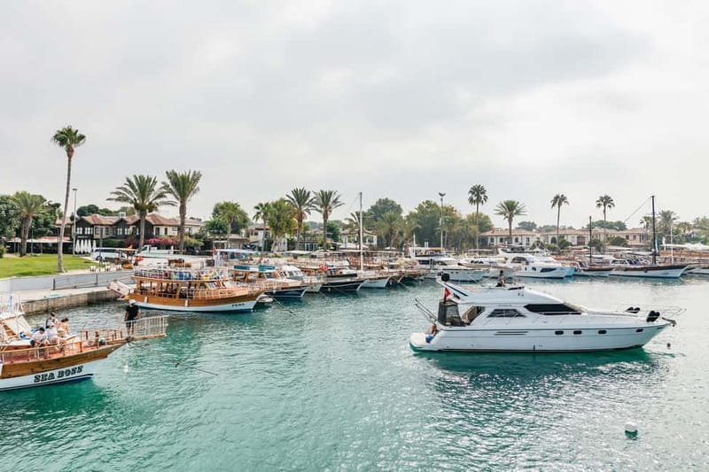 Side: Scuba Diving, Underwater Museum, 2 Dives incl. Lunch - Price and Value: Is $53 Really Fair?