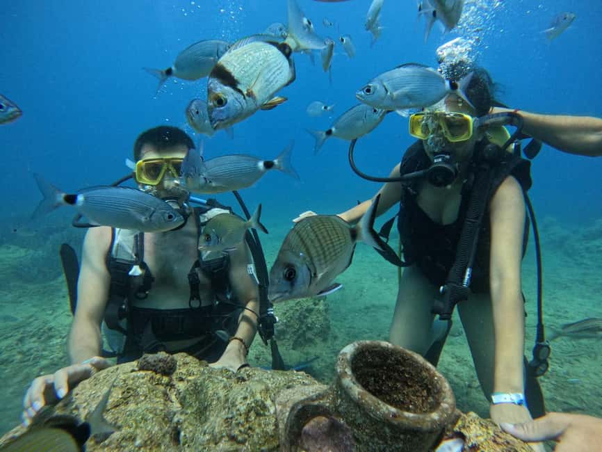 Side: Scuba Diving with Expert Diving Option - What’s included for $41 (and why that’s the real value)