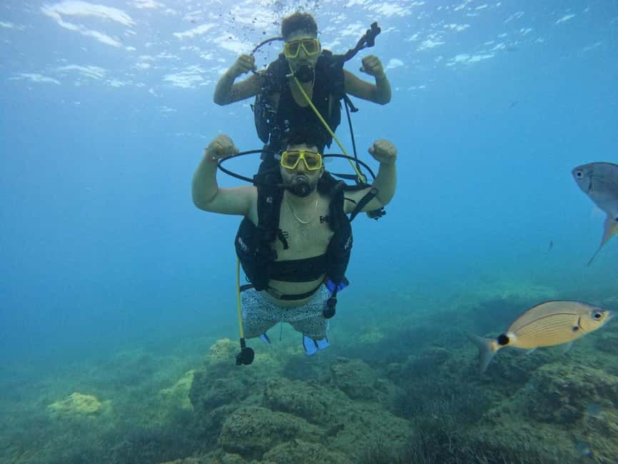 Side: Scuba Diving with Expert Diving Option - Who should book this Side scuba experience (and who shouldn’t)