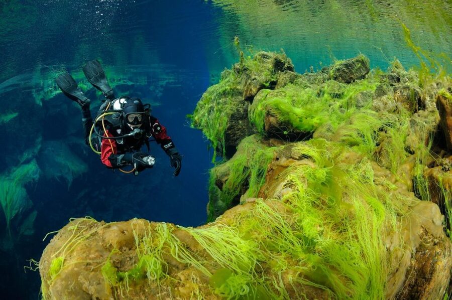 Silfra: Diving Between Tectonic Plates - Price and value: is $289 worth it?