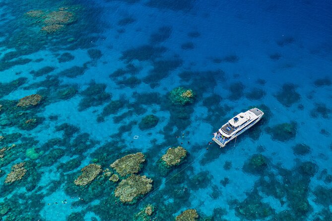 Silverswift Dive and Snorkel Great Barrier Reef Cruise - Key points before you go