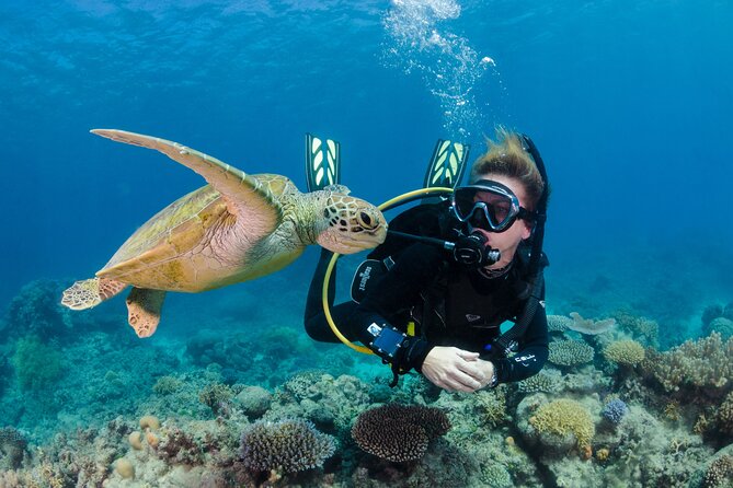 Silverswift Dive and Snorkel Great Barrier Reef Cruise - Safety and comfort: health questionnaire, group sizes, and the real seasickness plan