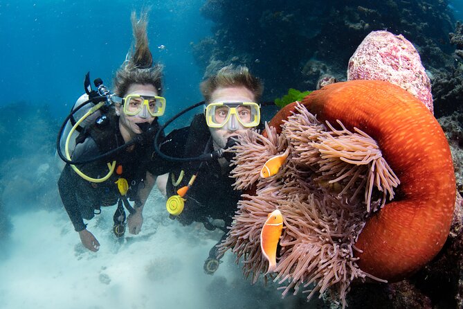 Silverswift Dive and Snorkel Great Barrier Reef Cruise - Photos and extras: how to decide before you get tempted on board