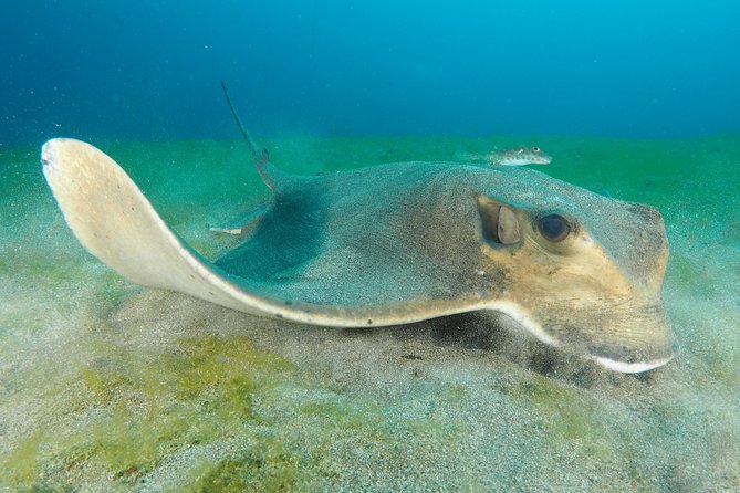 Single Dive for qualified divers from shore, region Puerto del Carmen. - Getting to Euro-Divers Lanzarote from Puerto del Carmen